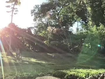 Offline kaileeshy on Chaturbate