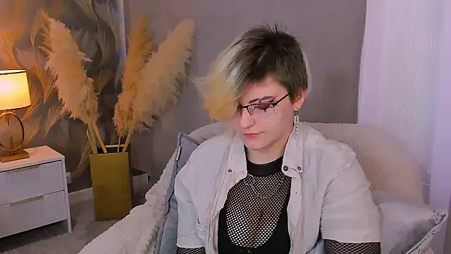 ABSI_GLITCH model from sc