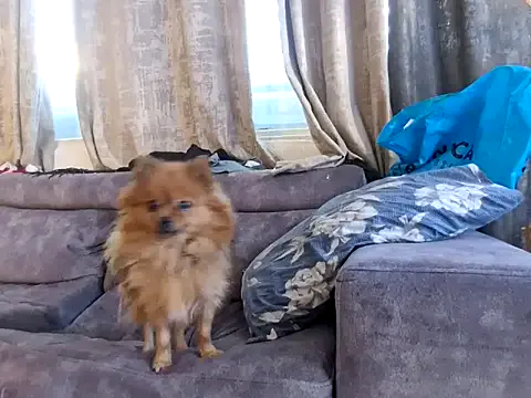 Offline Alexis21821 on StripChat