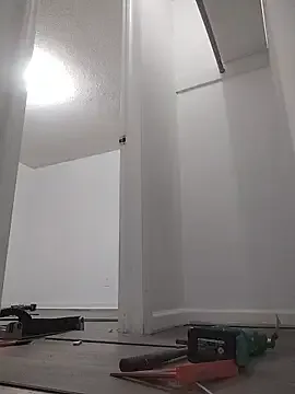 Biknight model from sc