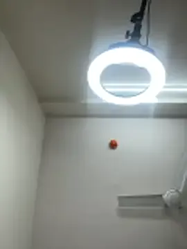 Freechat Cutenikkibaby on StripChat