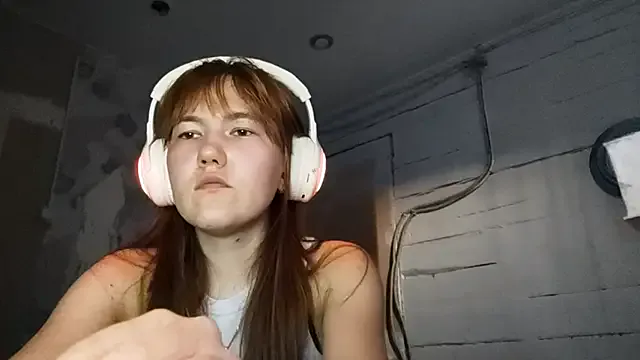 DinaFirebird model from sc