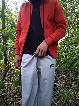 Forest_lover24 model from sc