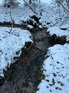 Freechat Hideen-real-face on StripChat