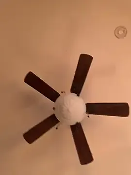 Freechat holyeroticss on StripChat