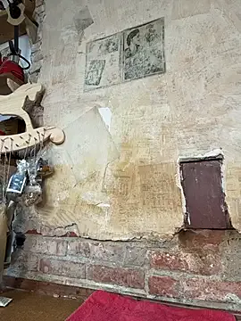 Offline Jolene_Fuego on StripChat