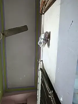 Offline sanu_07 on StripChat