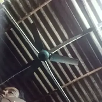 Offline senguptadiya248 on StripChat