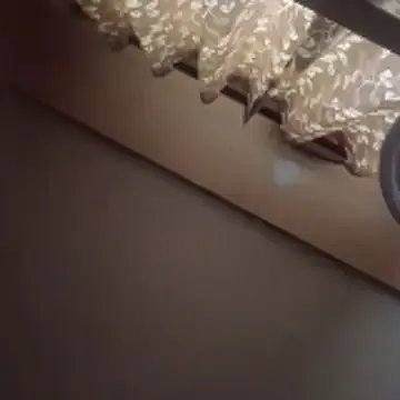 senguptadiya248 model from sc