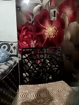 Offline Sneha_gril on StripChat