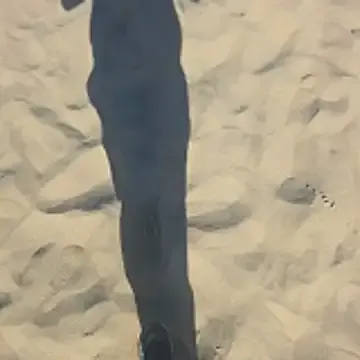 Offline Trucker_Hunter on StripChat