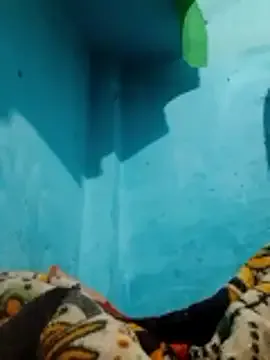 Freechat zahra3 on StripChat