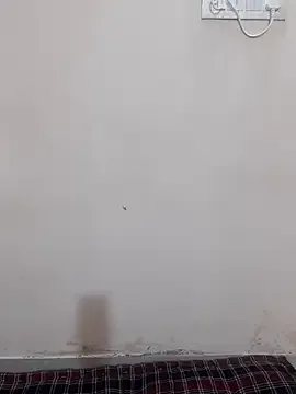 Freechat zahra3 on StripChat